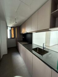 Kopar At Newton (D9), Apartment #473733921